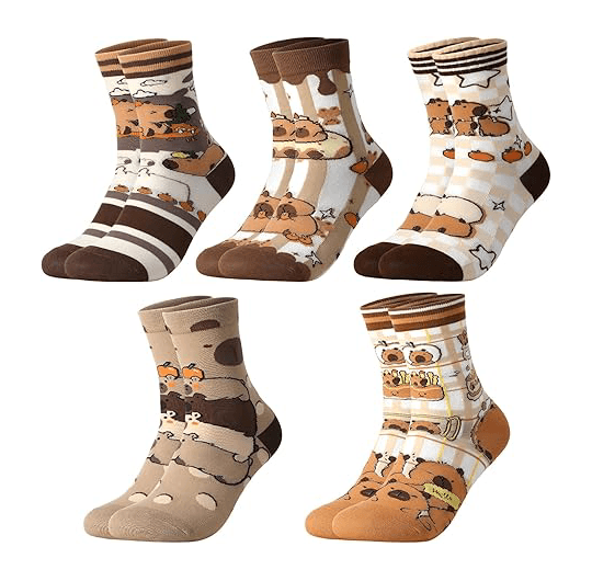 Women’s Funny Capybara Socks1